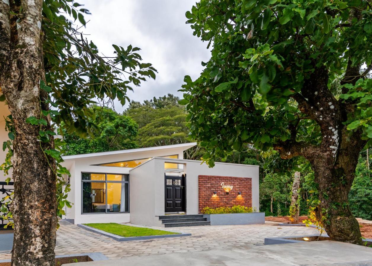 Vismita County Hotel Chikmagalur Luaran gambar